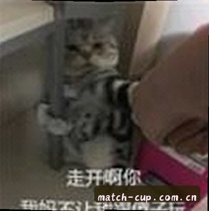 王晨